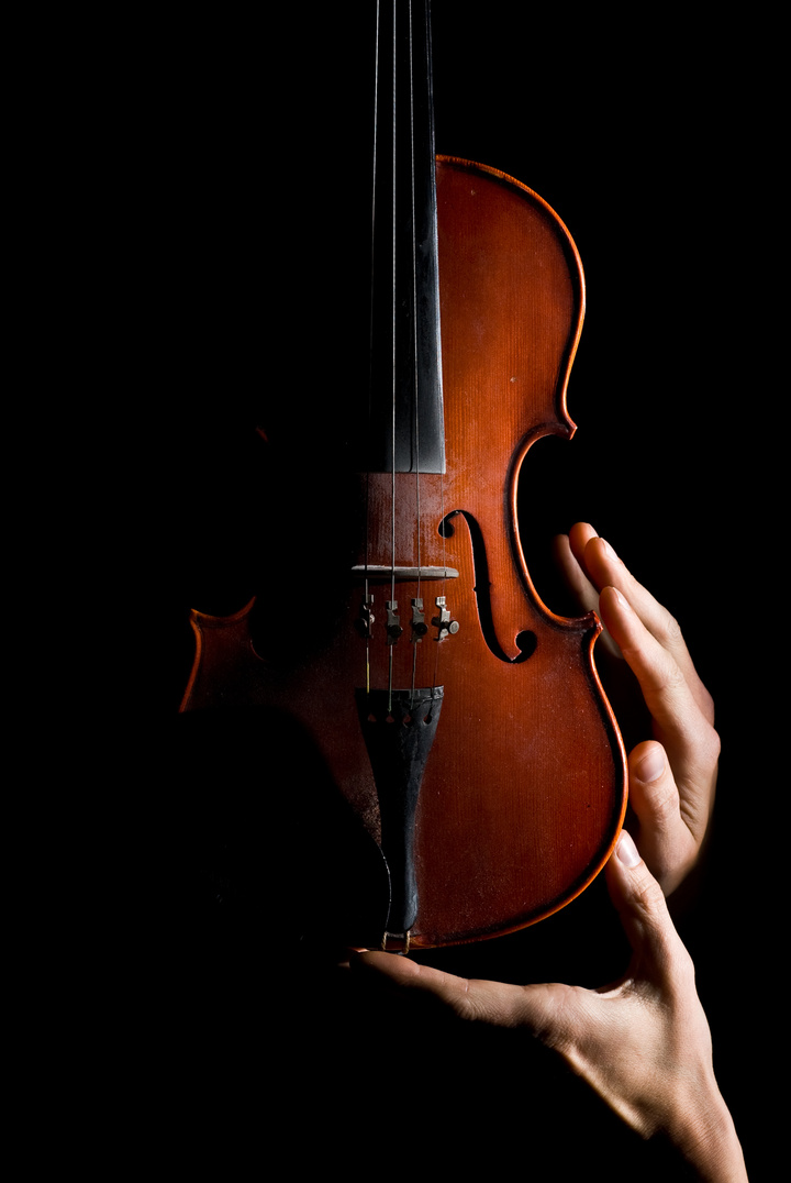 violin